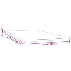 Petromila vidaXL Poťah na matrac 100x210x5 cm