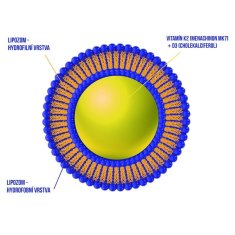 Ekolife Natura Liposomal Vitamín K2 + D3 60 ml (Lipozomálny vitamín K2 + D3)