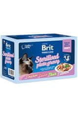 BritPremium Cat Delicate Fillets in Gravy Family Plate Sterilised 1020g(12x85g)-NEW