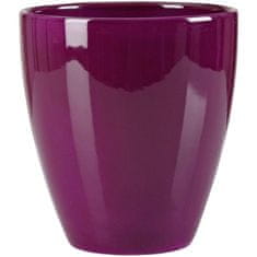 Obal orchideovej 620 Pure Violet lesk 13 cm/v. 15 cm - 6 ks