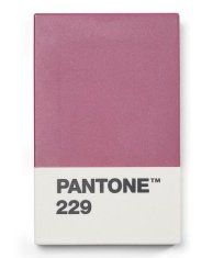 Pantone Puzdro na vizitky darčekové balenie - Aubergine 229