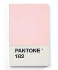 Pantone Puzdro na vizitky darčekové balenie - Light Pink 182