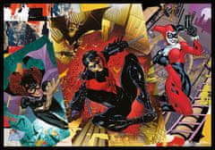 Trefl Puzzle Batman v akcii 4x250 dielikov