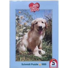 Schmidt 1000 ks puzzle Zlatý retríver