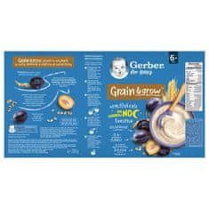 Gerber Kaša nemliečna pšenično-ovsená slivka 200 g, 6+