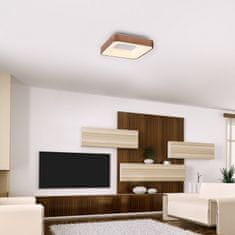 Rabalux LED prisadené stropné svietidlo Carmella 1x30W | 1950lm | 4000K | IP20 - biela so zlatou