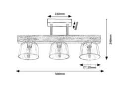 Rabalux CARDAMOM stropné svietidlo 3119