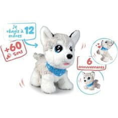 shumee CCL HUSKY INTERACTIVE