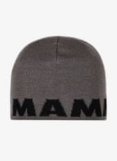 Mammut Čiapka Mammut Logo Beanie steel-black