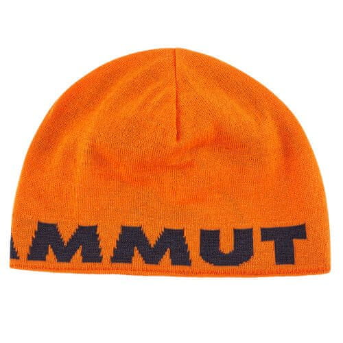 Mammut Čiapka Mammut Logo Beanie arumita-night