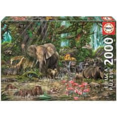 shumee Puzzle EDUCA 2000 dielikov - Africká džungľa