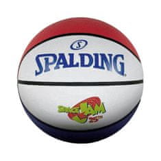 Spalding Lopty basketball 7 Space Jam 25th Anniversary