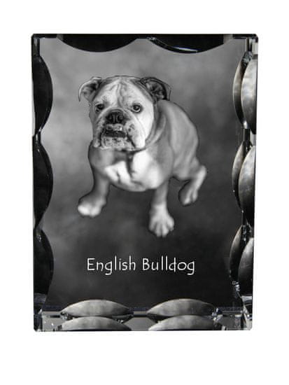 Artdog Anglický buldog, Bulldog - krištáľ s fotkou psíka, sklenená soška s fotkou, unikátny rám s fotkou od Art-Dog