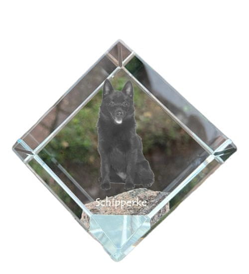 Artdog Schipperke - krištáľová kocka s fotografiou, fotografia koňa v krištáli, kubické ťažítko od Art-Dog