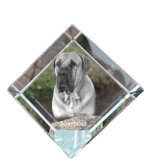 Artdog Boerboel, juhoafrický mastif - krištáľová kocka s fotografiou, fotografia koňa v krištáli, kubické ťažítko od Art-Dog