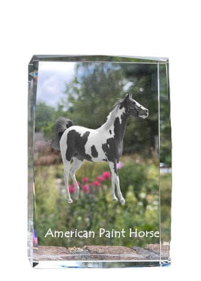 Artdog American Paint Horse - krištáľ s fotkou koňa, foto v skle, moderná výstava fotiek od Art-Dog