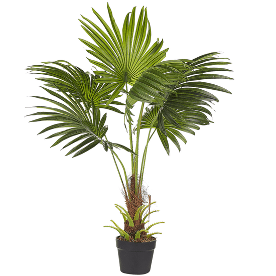 shumee Umelá rastlina FAN PALM 100 cm