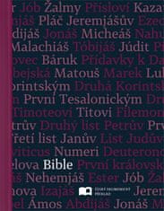 Bible - Český ekumenický překlad s DT