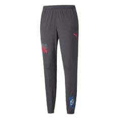 Puma Nohavice výcvik sivá 182 - 187 cm/L Neymar JR Futebol Training Pant