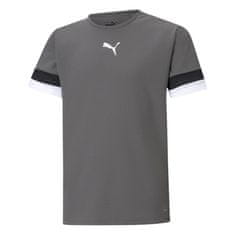 Puma Tričko výcvik sivá XS Teamrise Jersey