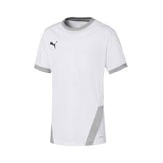 Puma Tričko výcvik M Teamgoal 23 Jersey