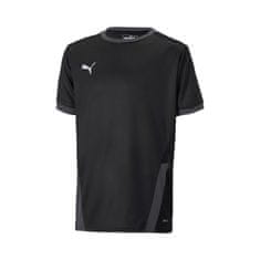 Puma Tričko výcvik čierna M Teamgoal 23 Jersey