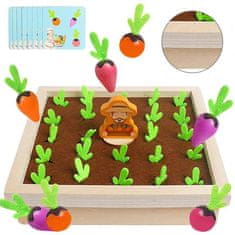 Sofistar Hra CarrotFun Memory Game