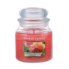 Yankee Candle Aromatická sviečka stredná Sun-Drenched Apricot Rose 411 g