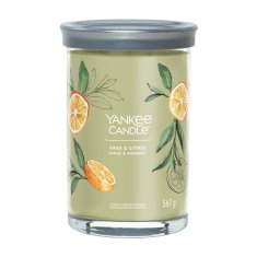 Yankee Candle Aromatická sviečka Signature tumbler veľký Sage & Citrus 567 g