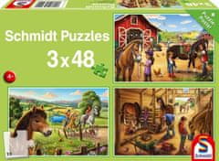 Schmidt Puzzle Moje obľúbené koníky 3x48 dielikov