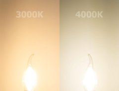 LUMILED 6x LED žiarovka E14 BA35 7W = 60W 770lm 4000K Neutrálna biela 360°