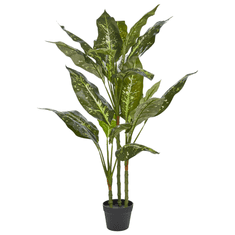 shumee Umelá rastlina DIEFFENBACHIA 110 cm