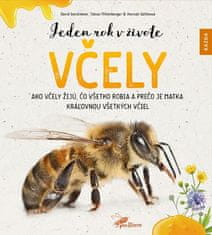 Jeden rok v živote včely - Ako včely žijú, čo všetko robia a prečo je matka kráľovnou všetkých včel