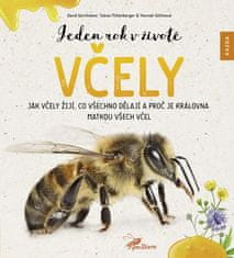 Jeden rok v živote včely - Ako včely žijú, čo všetko robia a prečo je kráľovná matkou všetkých včiel