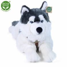 Rappa Plyšový pes husky s postrojom ležiaci 60 cm ECO-FRIENDLY