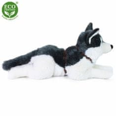 Rappa Plyšový pes husky s postrojom ležiaci 60 cm ECO-FRIENDLY