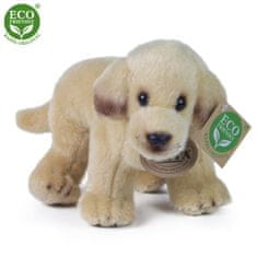 Plyšový labrador stojaci 20 cm ECO-FRIENDLY