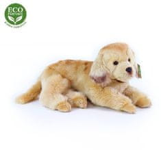 Rappa Plyšový pes zlatý retriever ležiaci 32 cm ECO-FRIENDLY