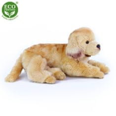 Rappa Plyšový pes zlatý retriever ležiaci 32 cm ECO-FRIENDLY