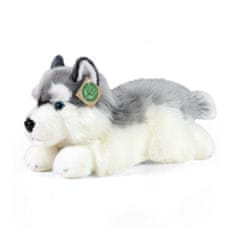 Rappa Plyšový pes husky ležiaci 30 cm