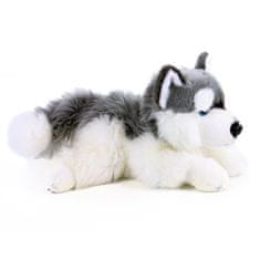 Rappa Plyšový pes husky ležiaci 30 cm