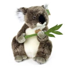 Rappa Plyšový medvedík koala 30 cm ECO-FRIENDLY