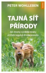 Tajná sieť prírody - Ako stromy vyrábajú mraky a dážďovky regulujú diviaky