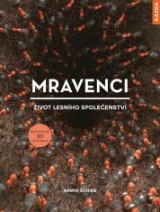 Mravce - Život lesného spoločenstva