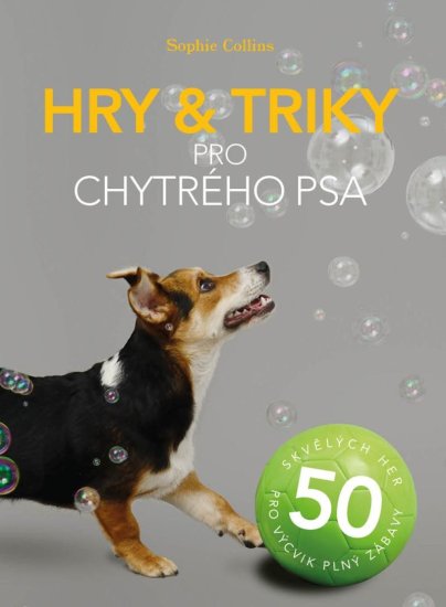 Hry a triky pre šikovného psa - 50 skvelých hier pre výcvik plný zábavy