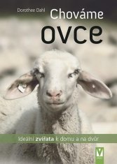 Správame ovce - Ideálne zvieratá k domu a na dvor