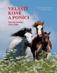 Waleské kone a poníky / Welsh Ponies and Cobs