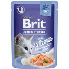 Brit Premium by Príroda Cat Delicate Fillets in Jelly with Salmon 85 g