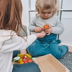 Bigjigs Toys Drevené krájacie ovocie v krabičke FRUIT