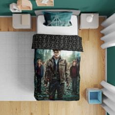 FARO Textil Bavlnená posteľná bielizeň Harry Potter 003 - 160x200 cm